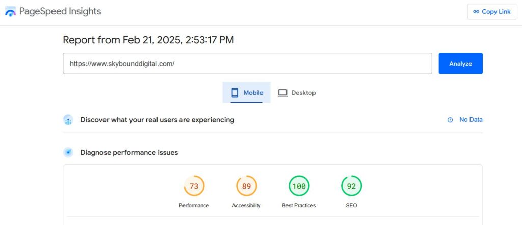 mobile page speed test for your website on Google Page Speed Insights